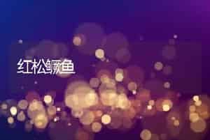 红松鳜鱼