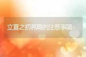 肉牛牧草栽培-紫花苜蓿的植物学与生物学特性