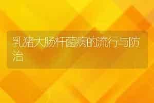 以鱼养鱼的生态养殖技术