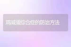 奶牛外科病腐蹄病