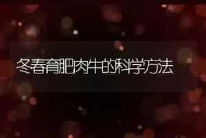冬春育肥肉牛的科学方法