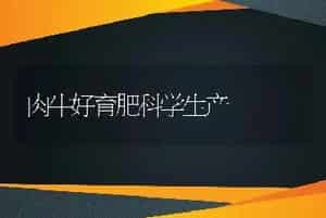 肉牛好育肥科学生产