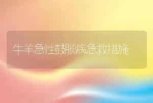 牛羊急性鼓胀病急救措施