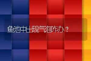 鱼池中出现气泡咋办？