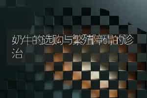 奶牛的选购与繁殖障碍的诊治