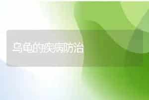 鱼饲养病的防治
