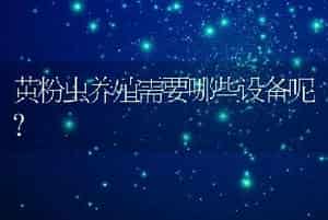 黄粉虫养殖需要哪些设备呢？