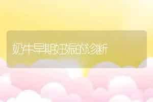 奶牛早期妊娠的诊断