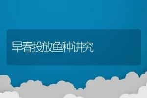 早春投放鱼种讲究