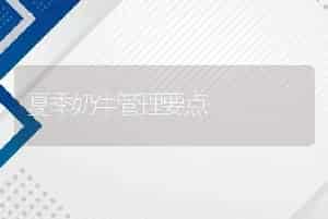 夏季奶牛管理要点