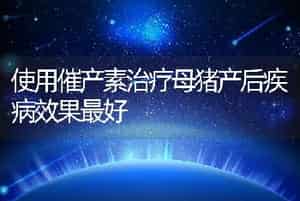 肉鸽优良品种介绍