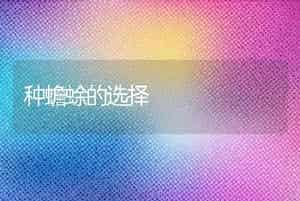 种蟾蜍的选择
