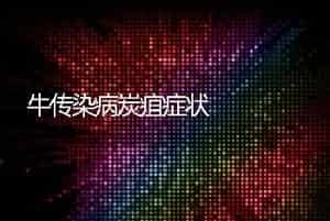 牛传染病炭疽症状