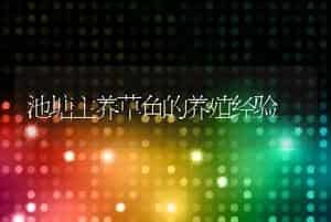 池塘主养草鱼的养殖经验