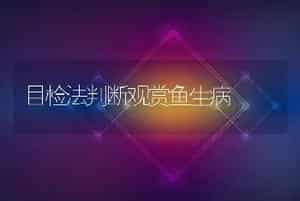 目检法判断观赏鱼生病