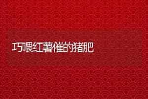 小规模肉牛养殖
