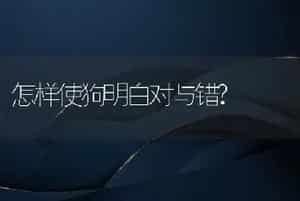 怎样使狗明白对与错?