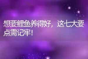 想要鲤鱼养得好，这七大要点需记牢！