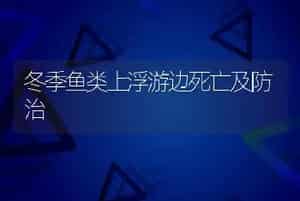 冬季鱼类上浮游边死亡及防治