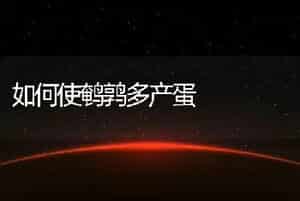如何使鹌鹑多产蛋