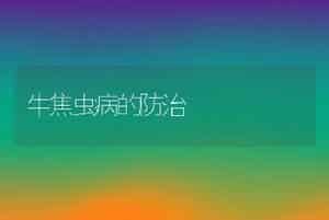 牛焦虫病的防治