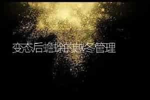 变态后蟾蜍的越冬管理