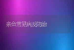 亲鱼常见病及防治