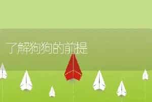 了解狗狗的前提
