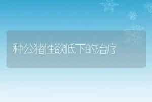 香鱼养殖水霉病