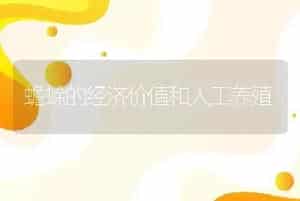 蟾蜍的经济价值和人工养殖
