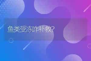 鱼类受冻咋补救？