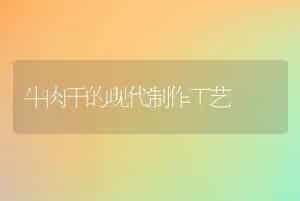 牛肉干的现代制作工艺