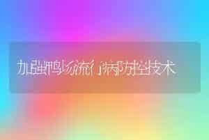桂花鱼苗种阶段水霉病的防治