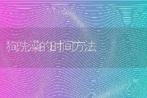 狗洗澡的时间方法