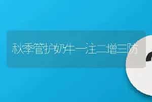 秋季管护奶牛一注二增三防