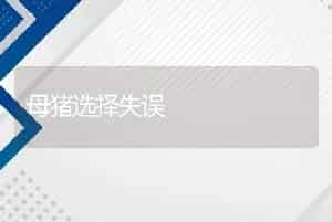 海水鲶鱼的加工方法