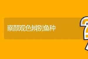 察颜观色辨别鱼种