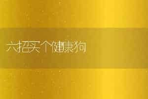 六招买个健康狗