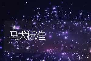 怎样正确帮狗生仔?