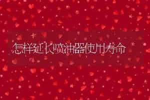 怎样延长喷油器使用寿命