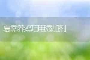 鸽的不同生产期做好防病工作