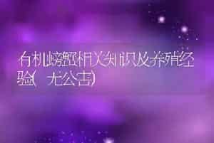 有机螃蟹相关知识及养殖经验(无公害)