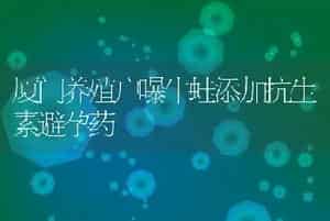 厦门养殖户曝牛蛙添加抗生素避孕药