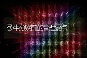 孕牛分娩前的管理要点