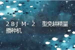 2BJM-2 型免耕精量播种机