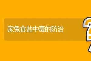 小尾寒羊羔羊快速育肥技术