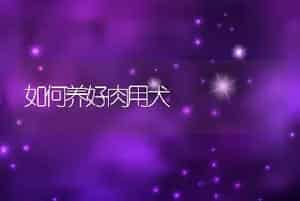 成蟾蜍的饲养管理