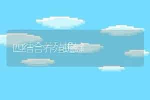 四结合养殖蟾蜍