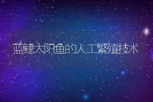 蓝鳃太阳鱼的人工繁殖技术