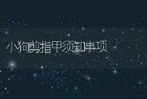 小狗剪指甲须知事项